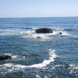 Bird Rock