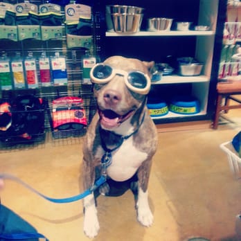 Wags Dog Emporium - Pet Stores Near Me - Eugene, Oregon Wags Dog Emporium - Pet Stores Near Me - Eugene, Oregon