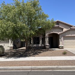 Crowned Grounds - Yard blown raked and tree removed after