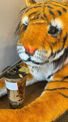 TIGER SUGAR by null