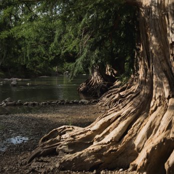 Guadalupe River State Park - Parks Near Me - Spring Branch, Texas Guadalupe River State Park - Parks Near Me - Spring Branch, Texas