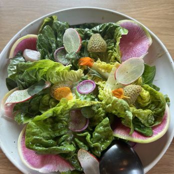 Bear at Stanly Ranch - Gem lettuce with lavender vinaigrette soooo good! - New American Near Me - Napa, California Bear at Stanly Ranch - Gem lettuce with lavender vinaigrette soooo good! - New American Near Me - Napa, California