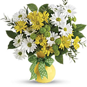 Floral Array - Daisies and Dots - Florists Near Me - Zion Grove, Pennsylvania