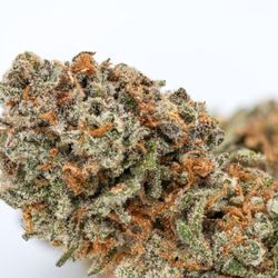Elevate Maine Weed Dispensary Yarmouth