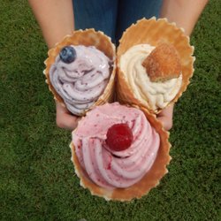 The PitchFORK - Blueberry, raspberry and cider donut ice cream!