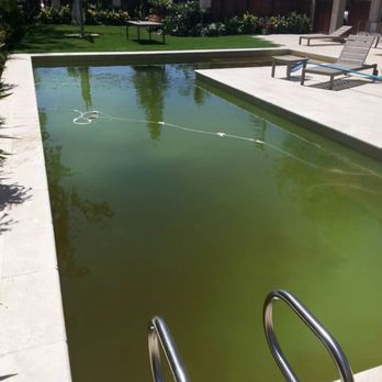 Pali's Pools - Before - Pool Cleaners Near Me - Kailua, Hawaii