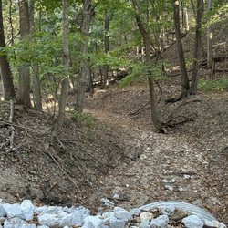 Forest Park Nature Center - Dry creek bed