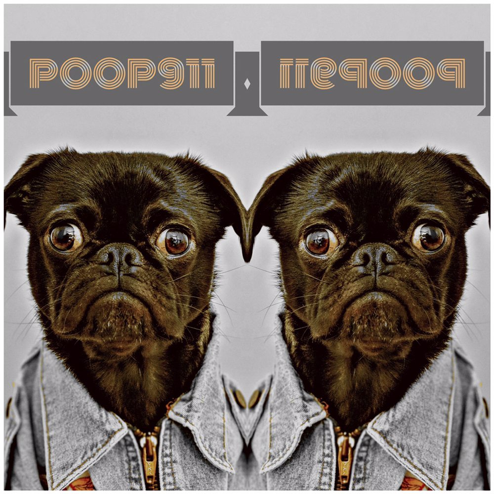 POOP 911 LONG ISLAND Updated August 2024 23 Photos & 12 Reviews