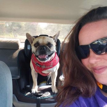 The Pet Divas - This is Amanda and she is AMAZING. Your babies will be her baby - Dog Walkers Near Me The Pet Divas - This is Amanda and she is AMAZING. Your babies will be her baby - Dog Walkers Near Me