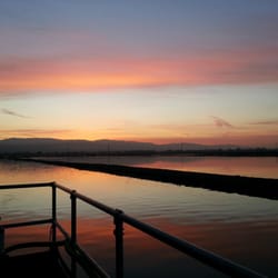 San José Santa Clara Regional Wastewater Facility - Life on the lagoon at the facility where your water waste ends up.