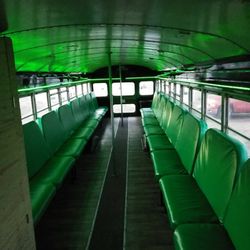 Schlangdaddy's Party Bus