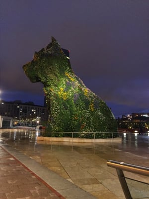 Hotel Miró by null