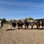 Photo of Flying Fox Farm