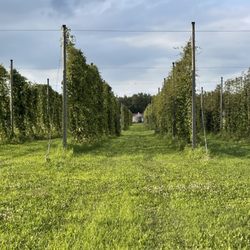 The Roundhouse Farm Stand - BiNES!