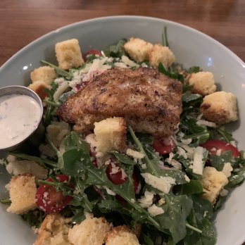The Floridian - Cornbread panzanella salad: choice of protein over arugula with cornbread, tomatoes, pickled onions, cheese, and buttermilk herb dressing - Southern Near Me - Saint Augustine, Florida The Floridian - Cornbread panzanella salad: choice of protein over arugula with cornbread, tomatoes, pickled onions, cheese, and buttermilk herb dressing - Southern Near Me - Saint Augustine, Florida