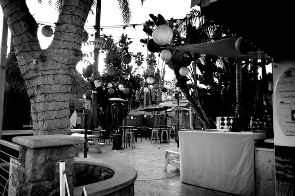 Tony's Pizzaria by null
