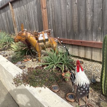 Thomason Yard Decor - I'm thinking of naming him, Max. - Home Decor Near Me - Jamestown, California Thomason Yard Decor - I'm thinking of naming him, Max. - Home Decor Near Me - Jamestown, California