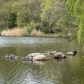 Prospect Park - Parks Near Me - Brooklyn, New York