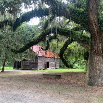 McLeod Plantation Historic Site - Live oak and barn - Landmarks & Historical Buildings Near Me - Charleston, South Carolina McLeod Plantation Historic Site - Live oak and barn - Landmarks & Historical Buildings Near Me - Charleston, South Carolina
