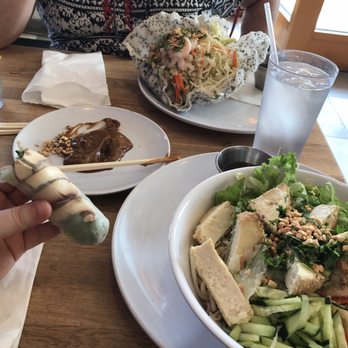 Pho Lang Thang - I got tofu noodles, my mom got shrimp salad, and we shared tofu spring rolls - Vietnamese Near Me - Cincinnati, Ohio