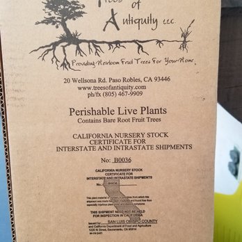 Trees of Antiquity LLC - Shipping box. - Nurseries & Gardening Near Me - Paso Robles, California