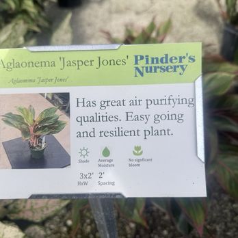 Pinder's Nursery - The signs are incredibly helpful & show how to take care of the plants. Smart to have all throughout the nursery - Nurseries & Gardening Near Me - Palm City, Florida Pinder's Nursery - The signs are incredibly helpful & show how to take care of the plants. Smart to have all throughout the nursery - Nurseries & Gardening Near Me - Palm City, Florida