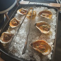 Oysters Oysters