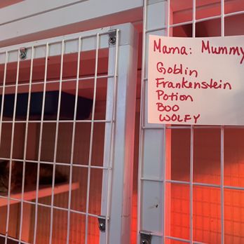 Touched by an Animal - Animal Shelters Near Me Touched by an Animal - Animal Shelters Near Me