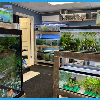 PickFish Pets - Local Fish Stores Near Me - Kenilworth, New Jersey PickFish Pets - Local Fish Stores Near Me - Kenilworth, New Jersey