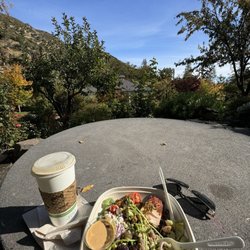 Dancing Bear Cafe