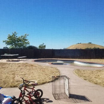 Big Cheq Services - After pics of our backyard (from eye level). (Please disregard the swamp of a pool... that's next on our list.) - Junk Removal & Hauling Near Me - Oakley, California