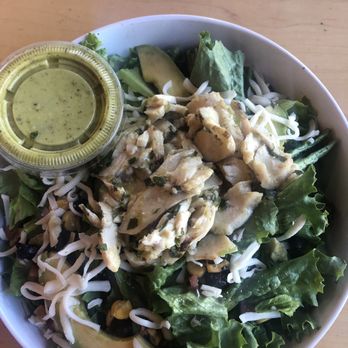 Urbane Cafe - Cilantro chicken salad - Sandwiches Near Me - San Diego, California Urbane Cafe - Cilantro chicken salad - Sandwiches Near Me - San Diego, California