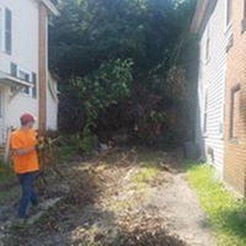 Sharpless Tree Service - untitled - Tree Services Near Me - Rochester, Pennsylvania Sharpless Tree Service - untitled - Tree Services Near Me - Rochester, Pennsylvania
