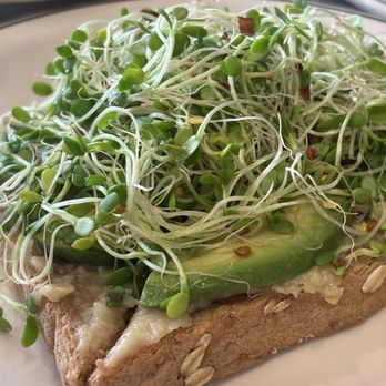 Snow City Cafe - Avocado Toast    AVOCADO TOAST - Breakfast & Brunch Near Me - Anchorage, Alaska