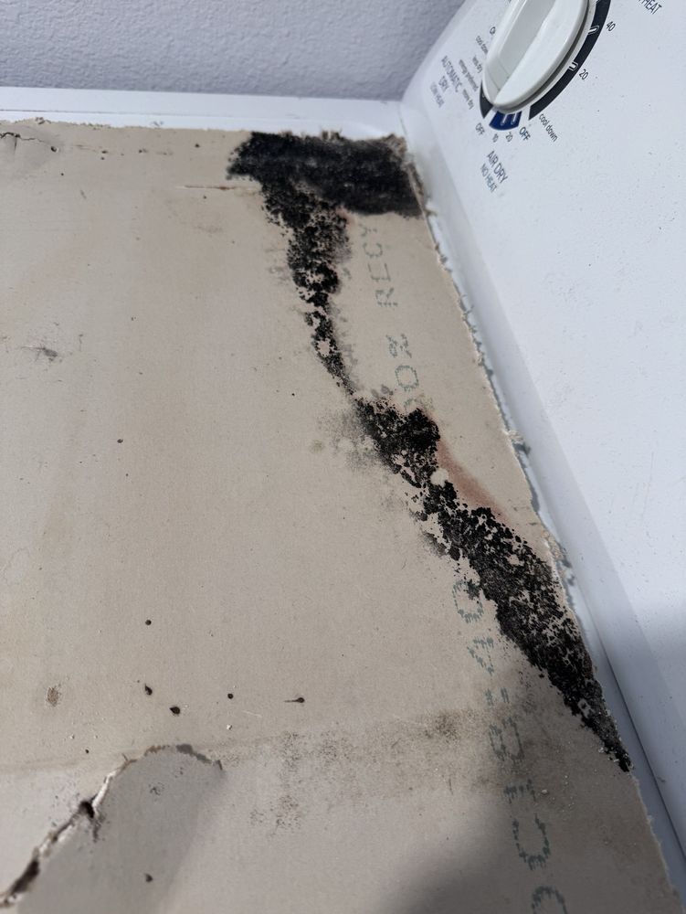 Rock Solid Home Inspections - mold inspector in Clearwater, FL