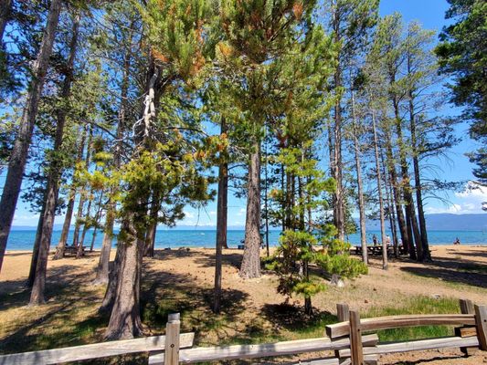 Pope Beach by null