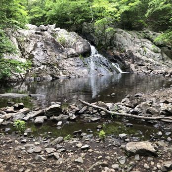 Norvin Green State Forest - Hiking Near Me - Ringwood, New Jersey