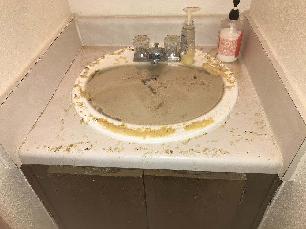 BELLEVUE HEIGHTS CLOSED Updated September 2024 1000 Amberwood Cir