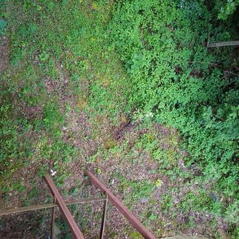 Summit Cabin Rentals - Cigarette butts and filth - Vacation Rentals Near Me - Sevierville, Tennessee