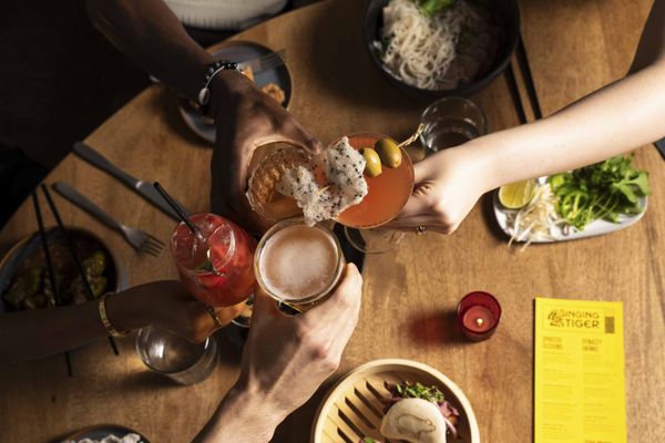 Singing Tiger by null