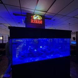 King and I - Sushi & Thai