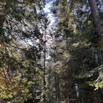 Birch Bay State Park - Parks Near Me - Blaine, Washington Birch Bay State Park - Parks Near Me - Blaine, Washington