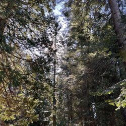 Birch Bay State Park