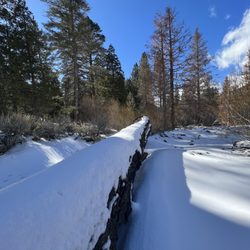 South Fork Campground - Fresh snow