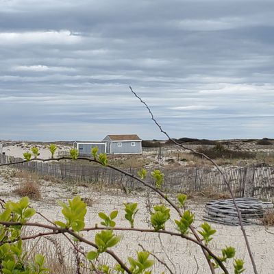Jones Beach State Park by null