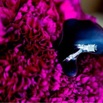 Oceanic Flowers - Bridesmaids bouquets- carnations and eggplant calla lilies. Simple and small, lending a pop of color on a deep purple gown. - Florists Near Me - Huntington Beach, California Oceanic Flowers - Bridesmaids bouquets- carnations and eggplant calla lilies. Simple and small, lending a pop of color on a deep purple gown. - Florists Near Me - Huntington Beach, California