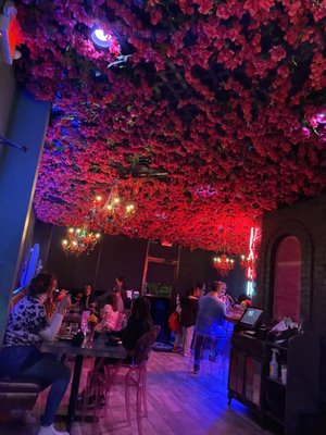 Tacos del Cartel Metairie by null