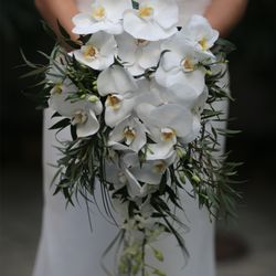 Thibodeaux's Floral Studio - Cascading orchid bridal bouquet
