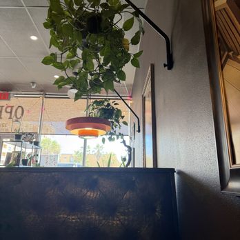 Bliss Beach - Inside - Coffee & Tea Near Me - Daytona Beach Shores, Florida Bliss Beach - Inside - Coffee & Tea Near Me - Daytona Beach Shores, Florida