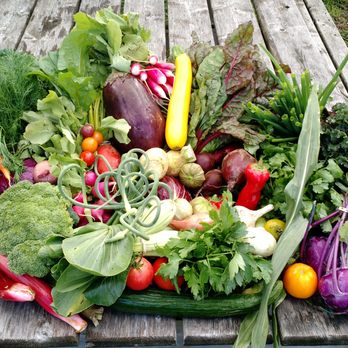 Pete's Greens - a variety of vegetables on a picnic table - CSA Near Me - Craftsbury, Vermont Pete's Greens - a variety of vegetables on a picnic table - CSA Near Me - Craftsbury, Vermont